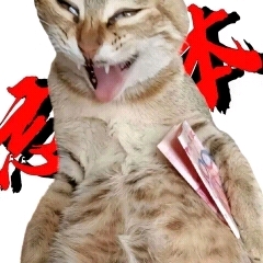 240