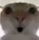 162