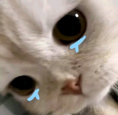 233