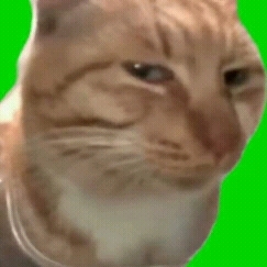 243