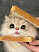 180