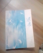《迟光》原名《柔软关系》