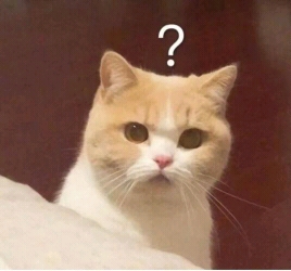 喵呜~   高颜值小猫表情包