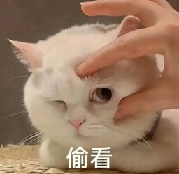 250