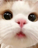 160