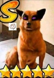 256