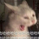 135