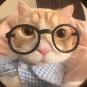 173